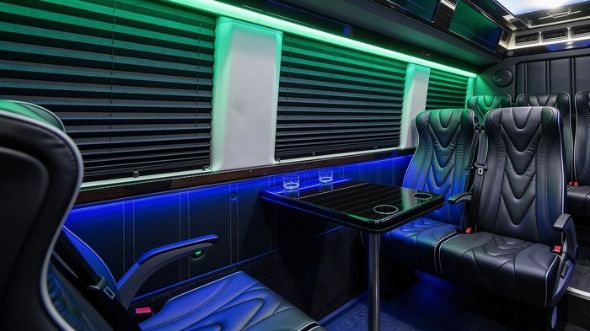 18 passenger sprinter van interior temple
