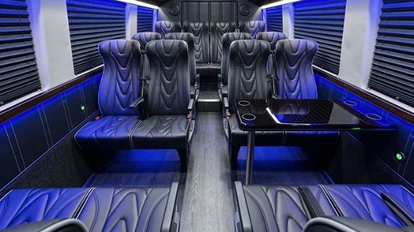 20 passenger sprinter van interior georgetown
