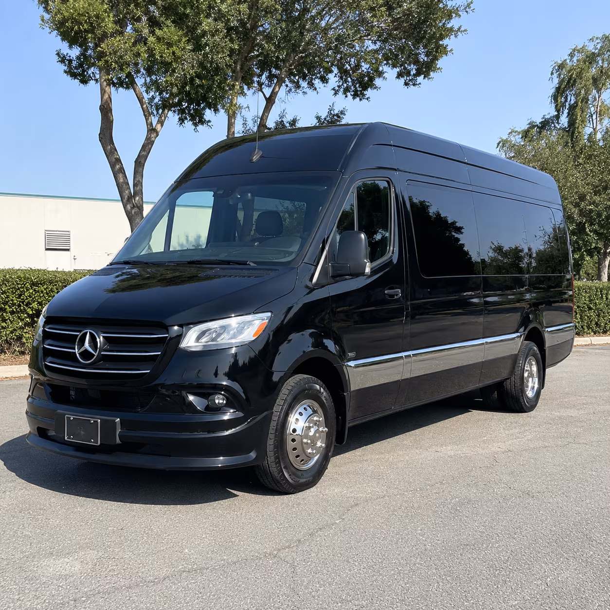 round rock 10 passenger sprinter van