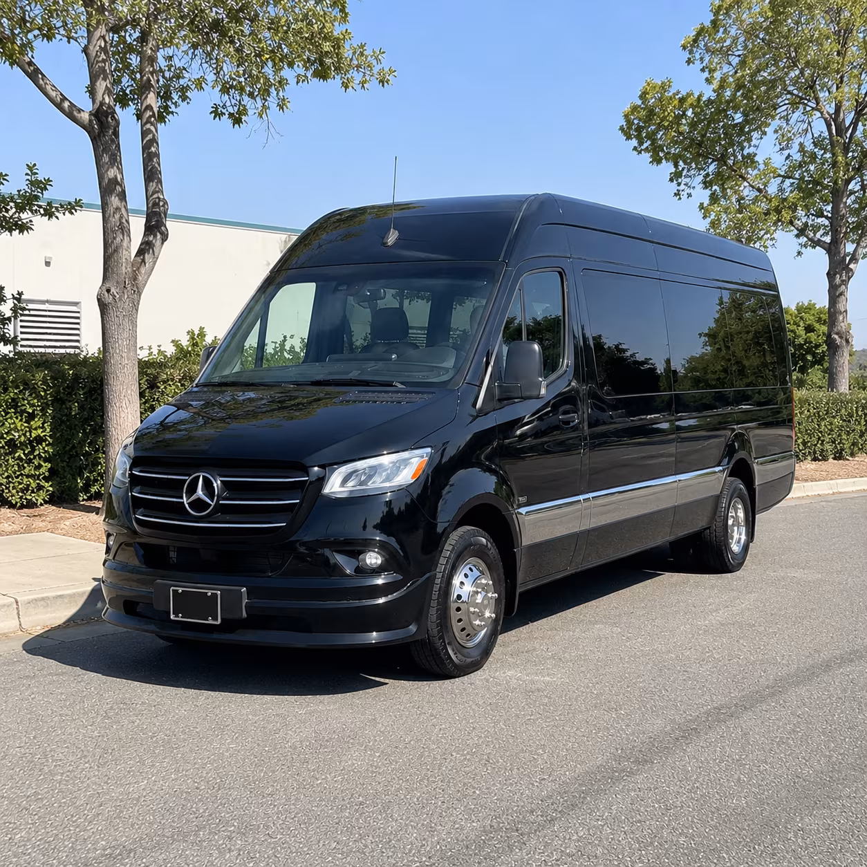 round rock 18 passenger sprinter van