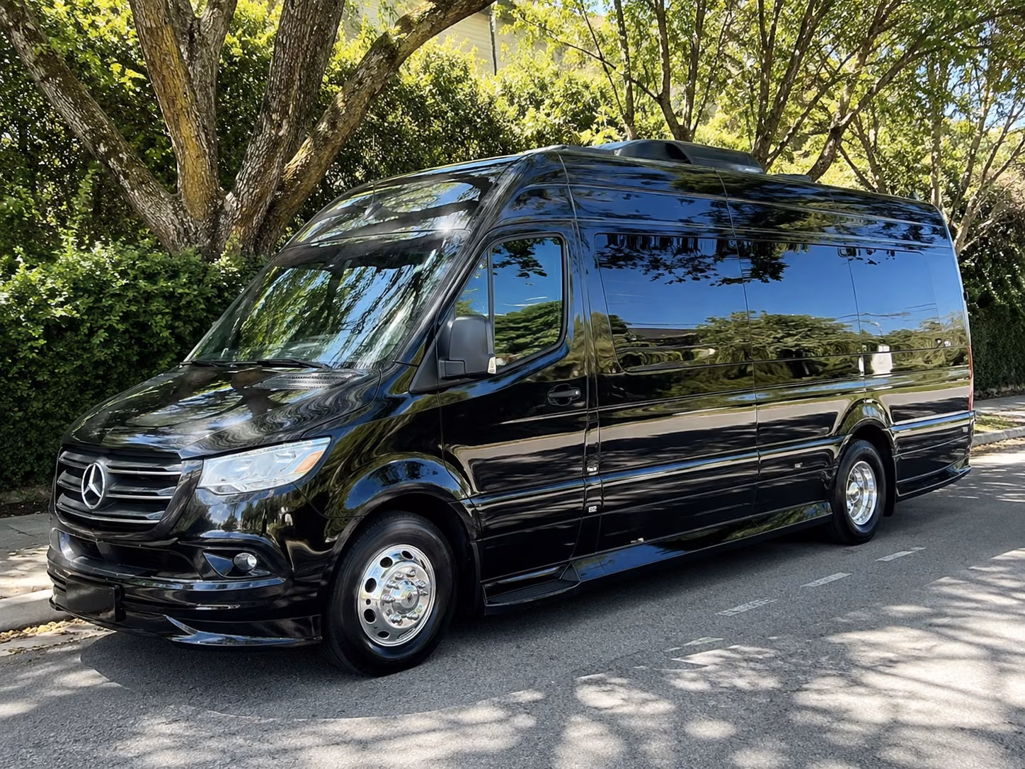 round rock birthday sprinter van rental